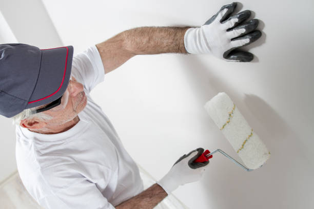 Best Basement Mold Removal  in New London, WI