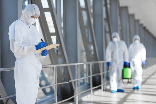 Best Mold Documentation for Insurance Claims  in New London, WI