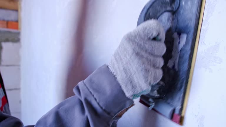 Best Black Mold Removal  in New London, WI