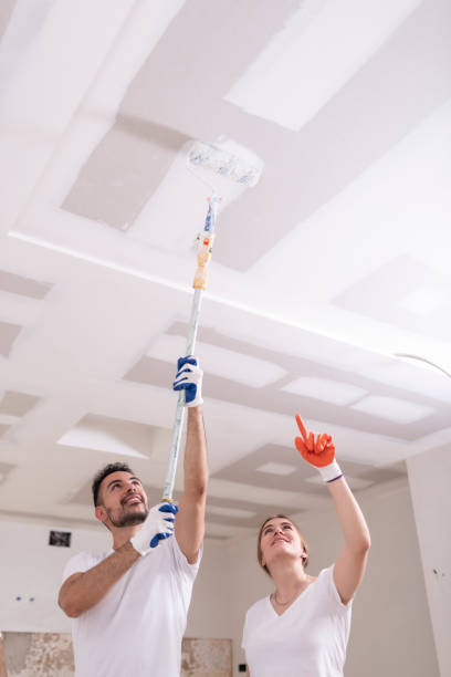 Best Emergency Mold Remediation  in New London, WI