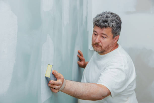  New London, WI Mold Removal Pros