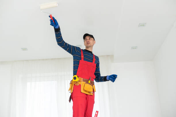 Best Biohazard Mold Removal  in New London, WI