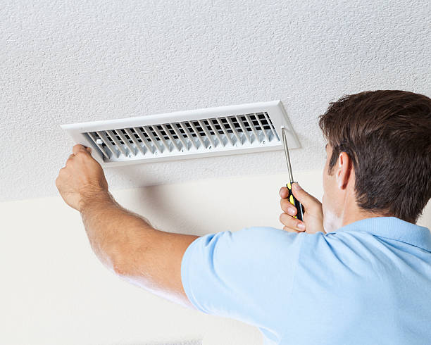 Mold Odor Removal Services in New London, WI