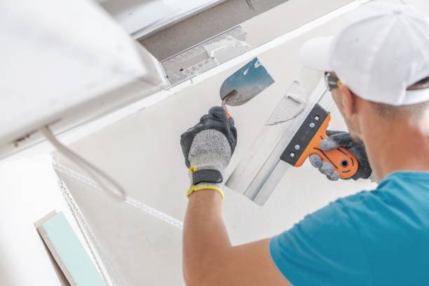 Best Environmental Consulting for Mold Prevention  in New London, WI